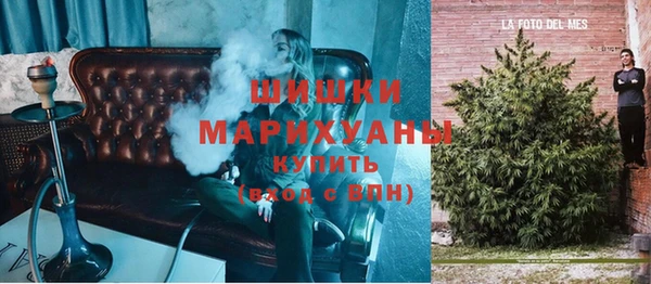 ПСИЛОЦИБИНОВЫЕ ГРИБЫ Михайловск