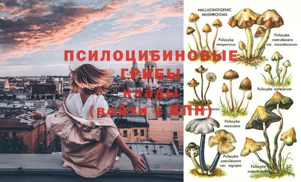 твердый Михайловка